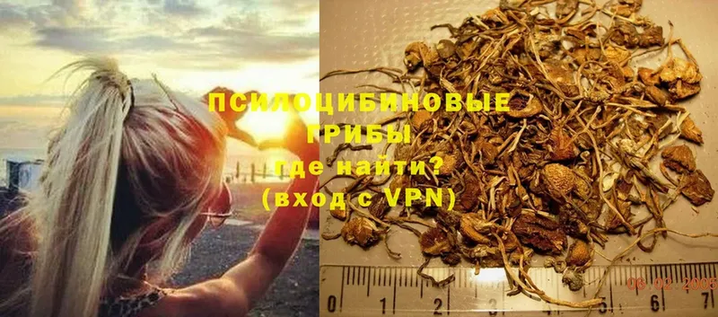 Псилоцибиновые грибы MAGIC MUSHROOMS  ОМГ ОМГ как зайти  Нарткала  купить наркотики цена 